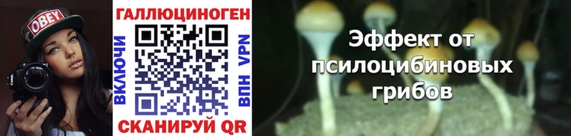 дарк нет клад  где можно купить   Фролово  Псилоцибиновые грибы GOLDEN TEACHER 